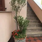 Stefano