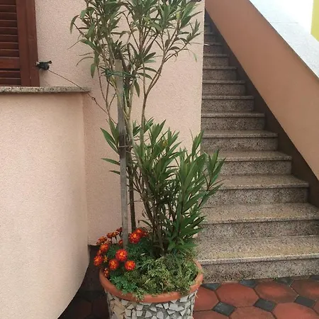 Stefano
